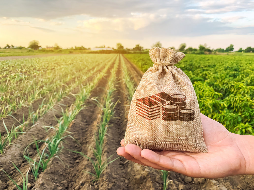 Al fine di massimizzare i profitti e ridurre i costi di trasporto, gli agricoltori devono concentrarsi sulla riduzione dei costi e sull'ottimizzazione delle esportazioni agricole.