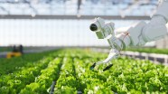 5 Emerging Agri Tech Trends KnowHow 5 Emerging Agri Tech Trends KnowHow